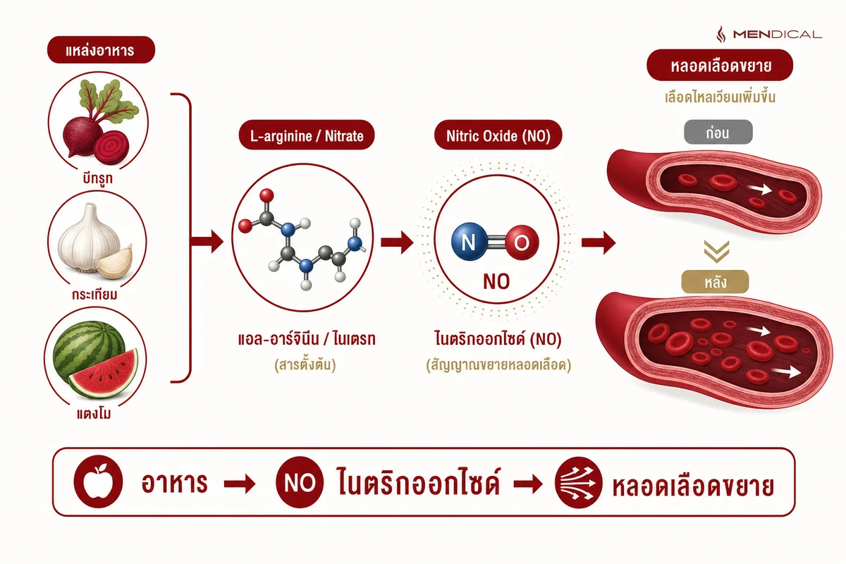 กลไกทางวิทยาศาสตร์: อาหารกลุ่มไนเตรต/แอล-อาร์จินีน → ร่างกายสร้างไนตริกออกไซด์ → หลอดเลือดขยาย เลือดไหลเวียนดีขึ้น