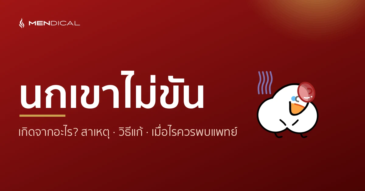 นกเขาไม่ขัน เกิดจากอะไร? สาเหตุ วิธีแก้ และเมื่อไรควรพบแพทย์