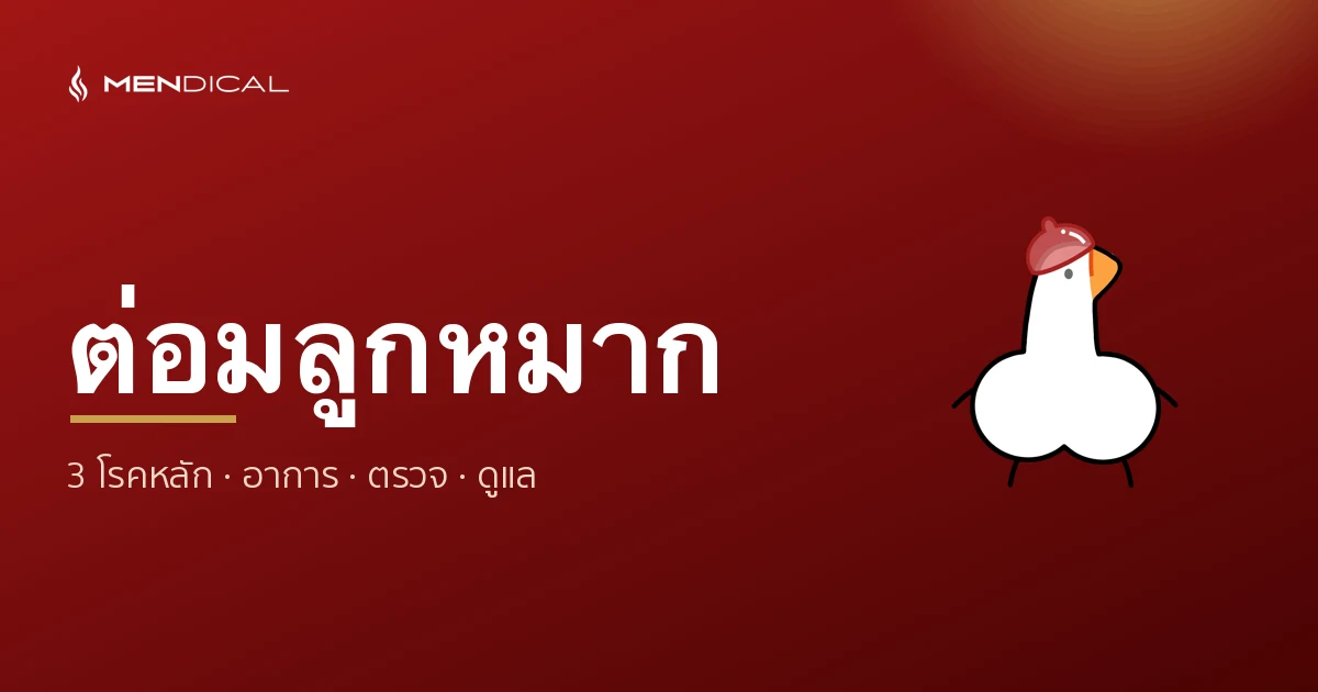 โรคต่อมลูกหมาก คู่มือฉบับเต็ม